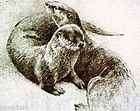 Robert BATEMAN Original Lithograph Otter Pair LTD art