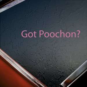  Got Poochon? Pink Decal Bichon Frise Poodle Car Pink 