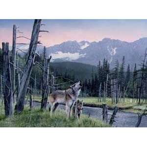  Kevin Daniel Wolf And Pup 20x16 Poster Print