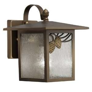   Bronze Acorn Outdoor Wall Sconce from the Acorn Collection LJA89476