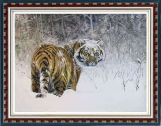 Original Animal Oil paintingtigeron canvas 30x40  
