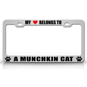  MY HEART BELONGS TO A MUNCHKIN Cat Pet Auto License Plate 