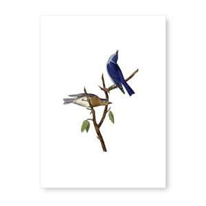    Tokyo Milk Objects to Desire Greeting Card Blue Birds Beauty