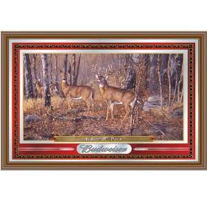   Budweiser Wildlife Series Mirror   Whitetail Deer