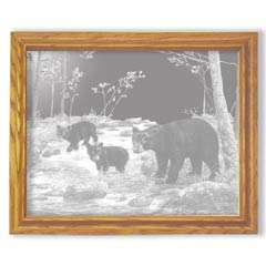 Bear Feet in the Creek Etched Glass Bear Mirror 13x13  