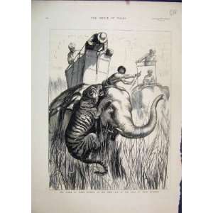   Prince Wales Elephant Tiger Hunting Terai 1876 Sketch
