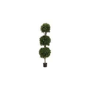  5 Triple Ball Shaped Boxwood Topiary
