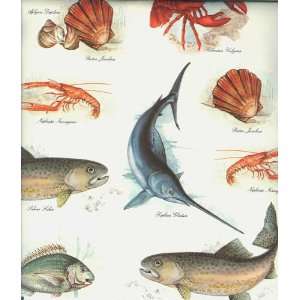  Fish Lobster Oyster Gift Wrap Paper Sealife Office 
