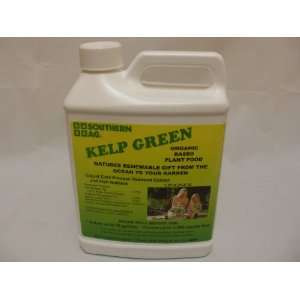   Seaweed Green Liquid Organic Fertilizer   1qt Patio, Lawn & Garden
