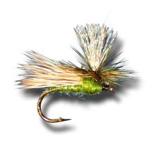  Krystal Caddis   Green Fly Fishing Fly