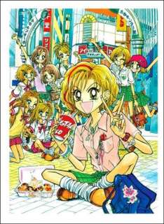 Gals(Super Gals)Vol.9 Mihona Fujii (Author) Manga book  