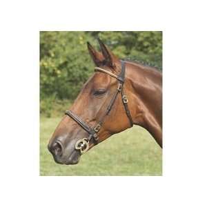  In Hand Bridle With Clincher Brow Band