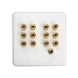   SPEAKER WALL PLATE for clean in wall wire installation Electronics