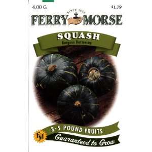  Ferry Morse Seeds 1969 Squash   Burgess Buttercup 4 Gram 