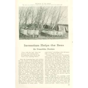  1907 Honey Bees Comb Foundation Hives Smokers Bee Suit 