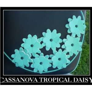  Cassanova Daisy Tennis Bag