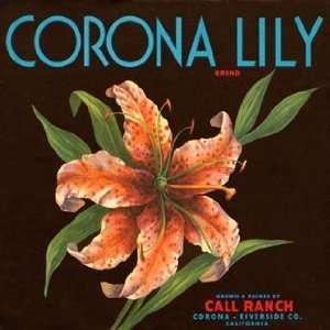  Corona Lily Vintage Wall Art