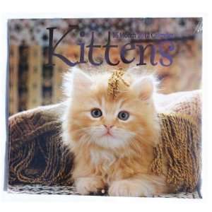  Kittens 16 Month 2012 Calendar 