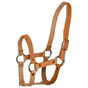  Baby Suckling Halter