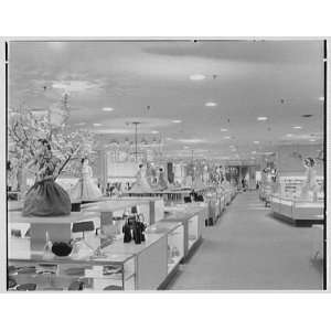 com Photo Lord and Taylor, business in Garden City, Long Island. Long 