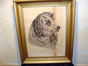ANTIQUE DOG/PUPPY ST. BERNARD PASTEL 1800S OLD PAINTING 1900S 