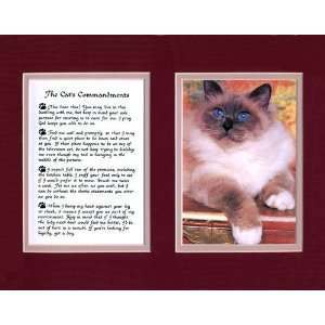  Cats Commandments Wall Decor Pet Saying Cat Saying