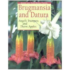  Brugmansia and Datura Preissel Books