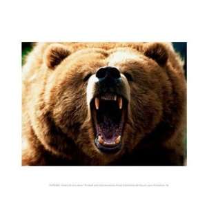  Angry Grizzly Bear 10.00 x 8.00 Poster Print