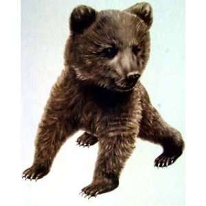  Bear Cub    Print