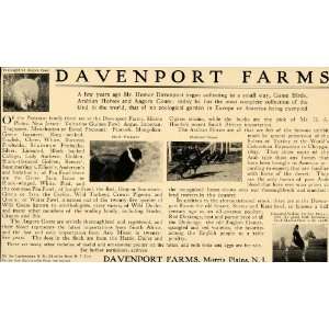   Ad Davenport Farms Morris Plains Saud Khaldid Haik   Original Print Ad