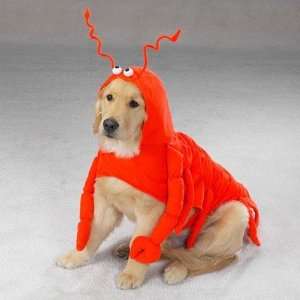  Lobster Paws Costume Size Large