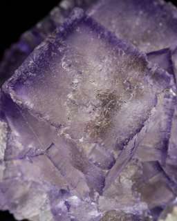 Sharp Cubic Purple Edged FLUORITE Gemmy Cubic Crystals  Elmwood 