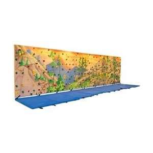  Custom Climbing Walls