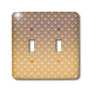   background. Elegant, simple, beautiful.   Light Switch Covers   double
