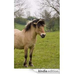 Horse   Animal Kingdom App Book Shop  Kindle Store