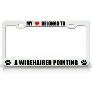  MY HEART BELONGS TO A WIREEHAIRED POINTING Dog Pet Steel 