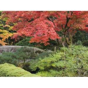  Shojo En Zen Garden, Nikko, Central Honshu, Japan 