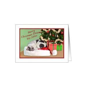  Christmas, Pet Sitter, Sleeping Cat, Santa Hat Card 