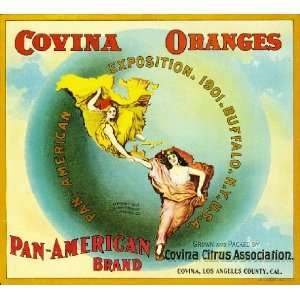  Covina Pan American Orange Citrus Fruit Crate Box Label 