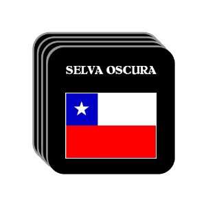  Chile   SELVA OSCURA Set of 4 Mini Mousepad Coasters 