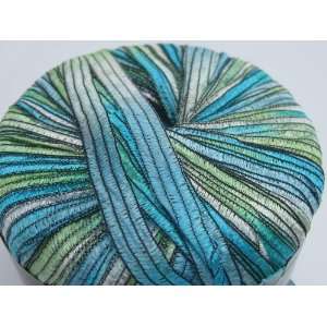  Knitting Fever Giglio Airy Variegated Ribbon Yarn Color 