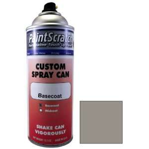  12.5 Oz. Spray Can of Light Tarnish Silver (matt) Touch Up 