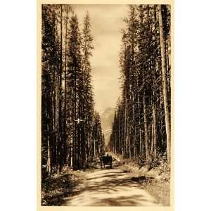  1926 Road Horse Buggy Banff Alberta Province Canada 