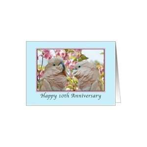 Anniversary, 10th, Two White Parrots Card