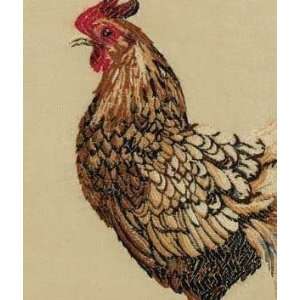  Beacon Hill Pecking Order Hazelnut Arts, Crafts & Sewing