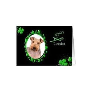  St Patricks Greeting Card   (Irish) Welsh Terrier Card 