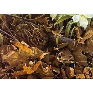 Robert Bateman   Among the Leaves Cottontail Artists Proof  