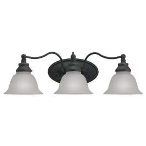  Seagull Bathroom SG 49652BLE 71 Three Light Fluorescent 