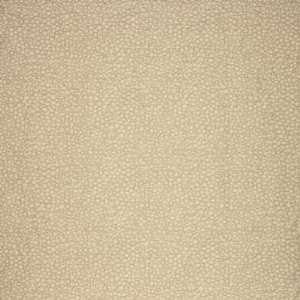  River Rock   White Gold Indoor Upholstery Fabric Arts 