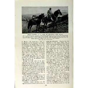   c1920 SHEEP FARMER MOUNTAINS MONARO AUSTRALIA HORSES